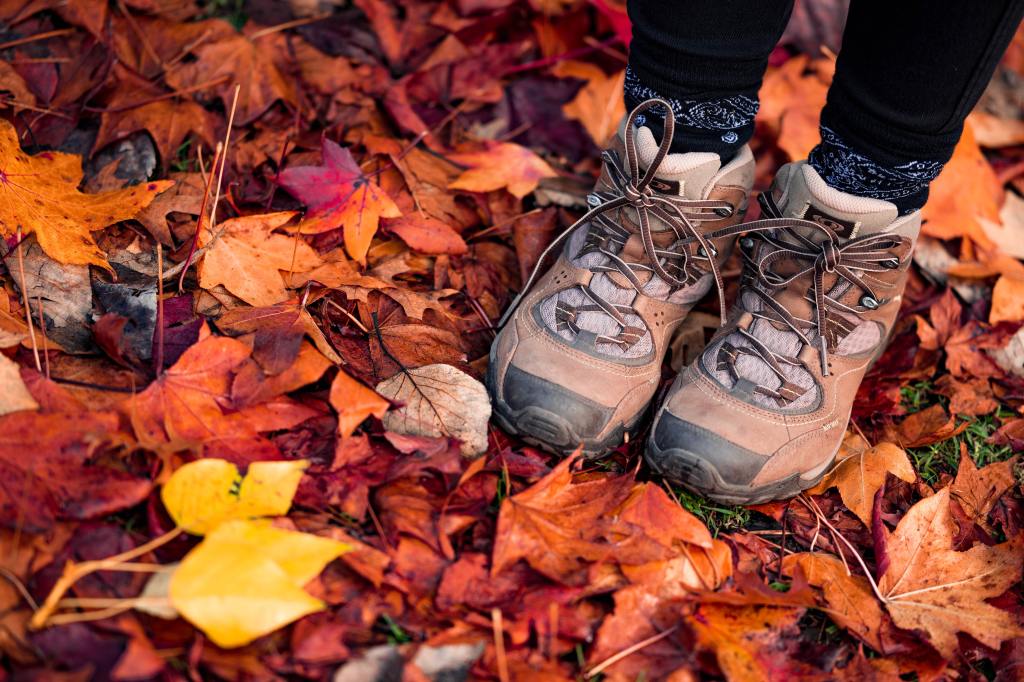 Fall Family Nature Walk
